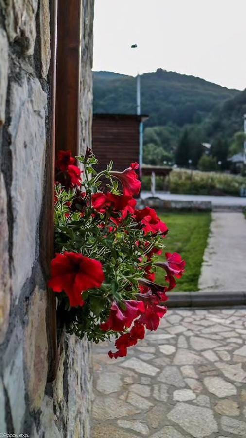 Villa 'Iva' Mavrovo Exteriér fotografie